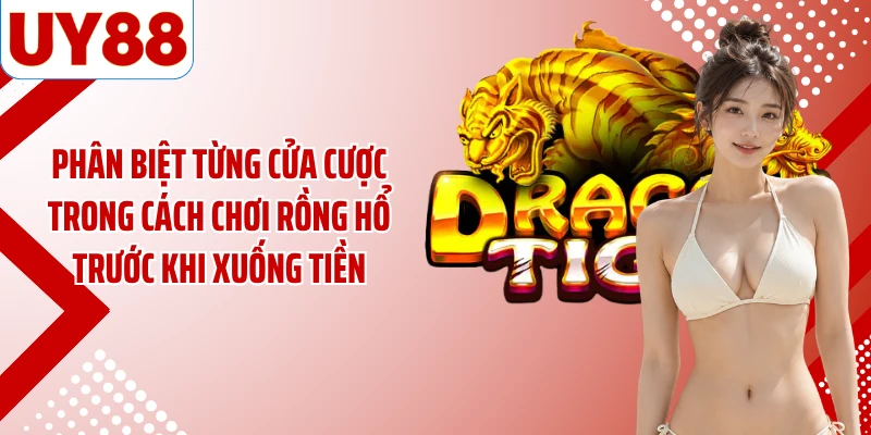 Phân biệt từng cửa cược trong cách chơi rồng hổ trước khi xuống tiền